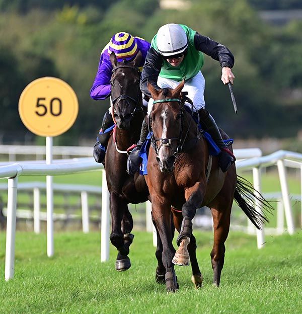 Clifftop is ridden out by Kieran Buckley