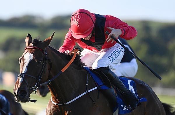 Rosalys is ridden out by Rachael Blackmore