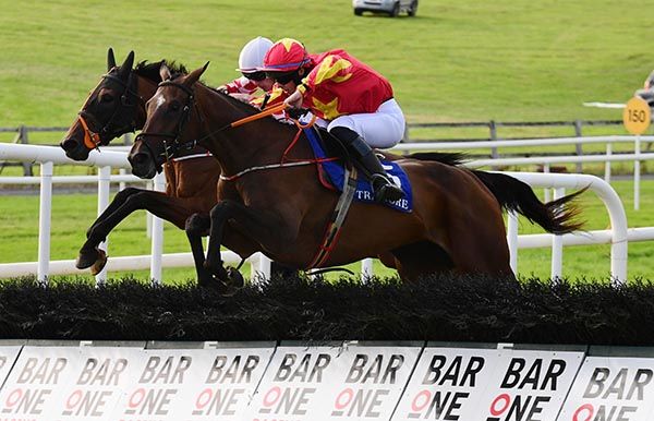 Stormalong (nearest) just leads Tingarran Express over the last