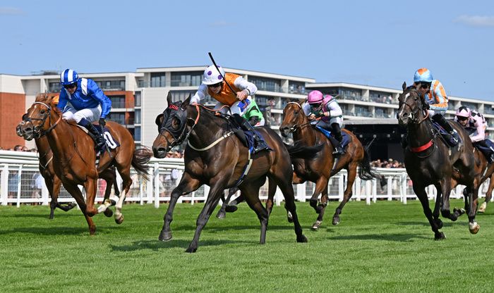 Lethal Levi led home a one-two-three in Ayr Gold Cup for Karl Burke 