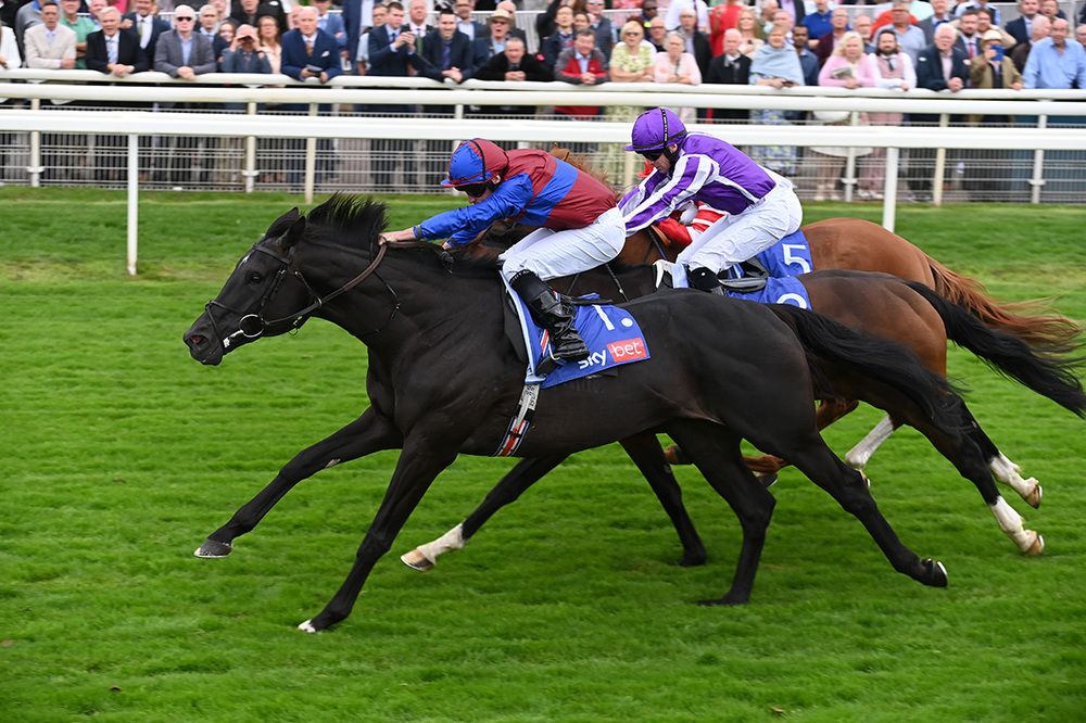 Los Angeles is one of two Aidan O'Brien trained representatives 