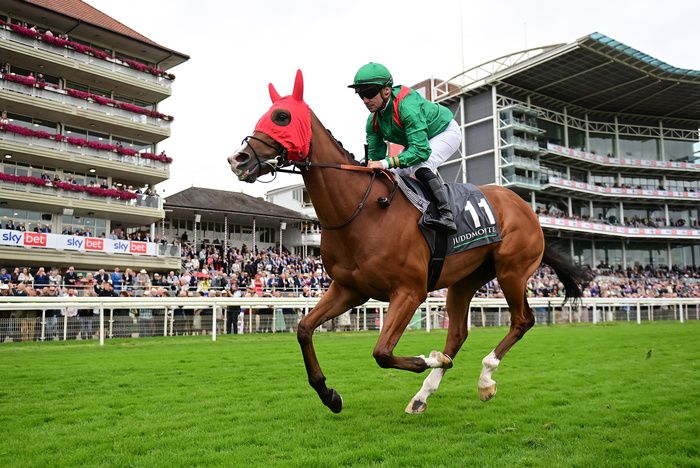 Calandagan and Stephane Pasquie could return to Britain for the Champion Stakes 