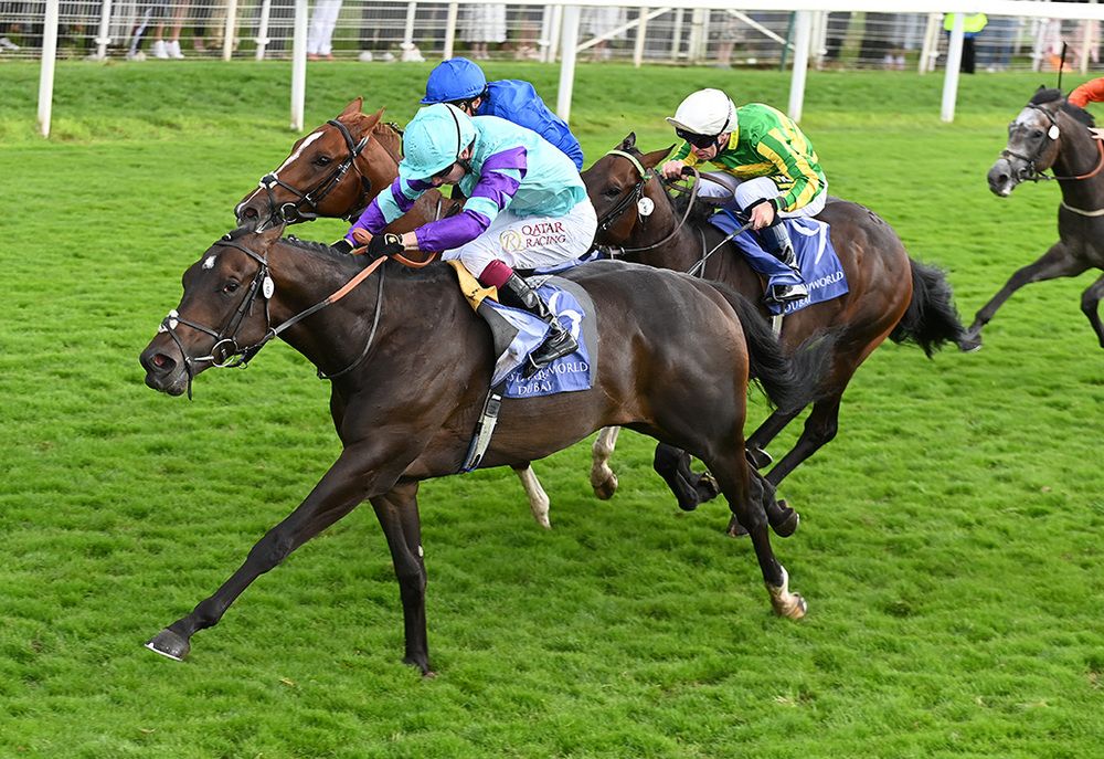 York 23 August 2024 Cool Hoof Luke and Oisin Murphy win for trainer ANdrew Balding Healy Racing