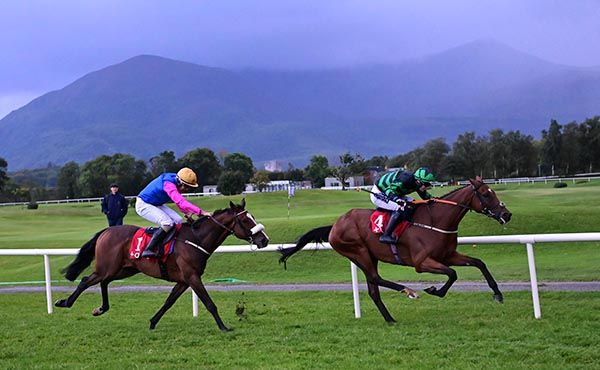 Seddon pictured on his way to victory at Killarney last week