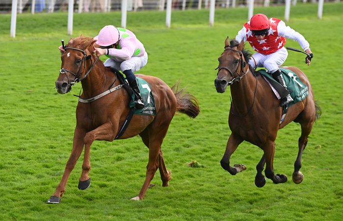 Vauban (left) finished 11th at Melbourne