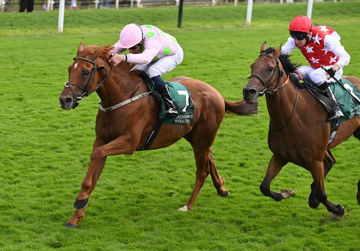 Al Nayyir expected to improve from York second behind Vauban