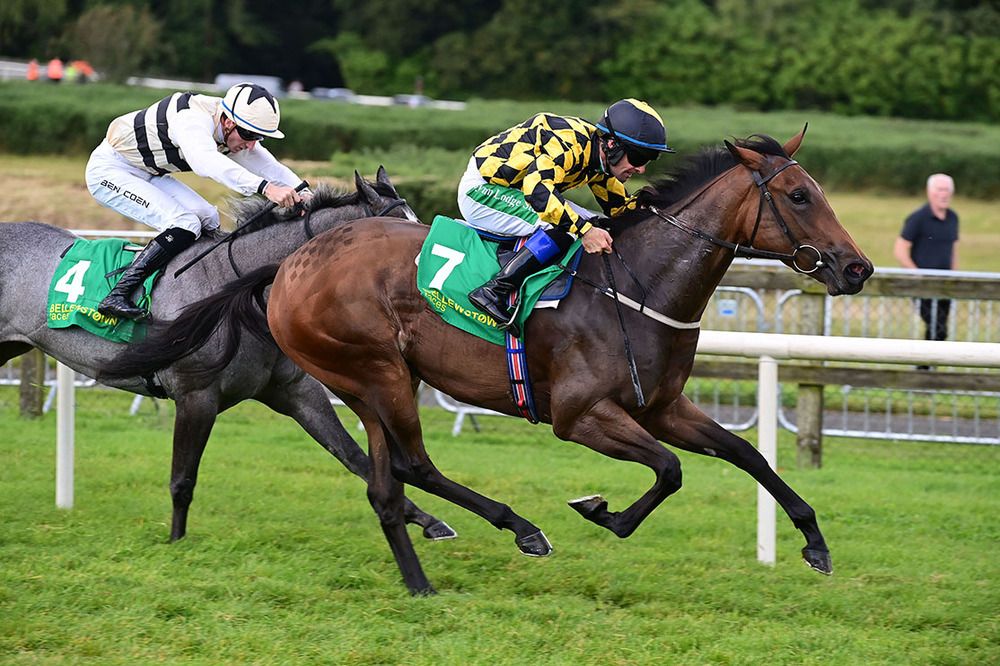 Gazelle D or and Rory Cleary