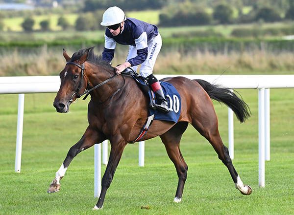 Rosso and Declan McDonogh 