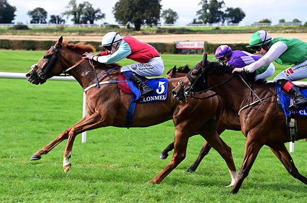 Expound approaches the winning post