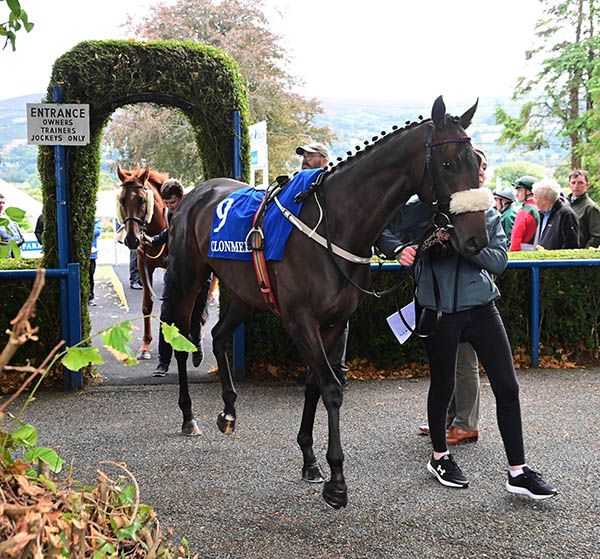 Barrogstown Girl leaves the parade ring via the pedestrian entrance due to a fallen tree blocking the horse exit 