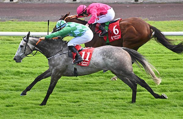 The grey Clear Quartz gets up close home to beat Monasterboice 