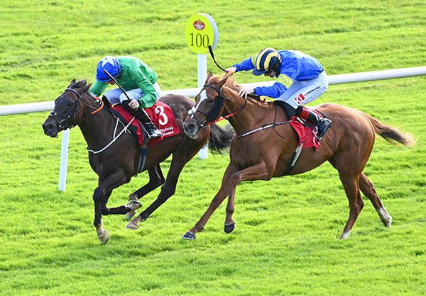 Eddie G just leads eventual winner Sylkie (nearest) inside the final 100 yards