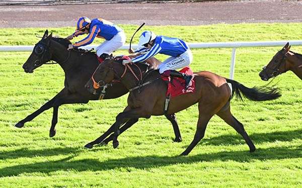 Tamam Desert (nearest) comes with her winning run under Billy Lee