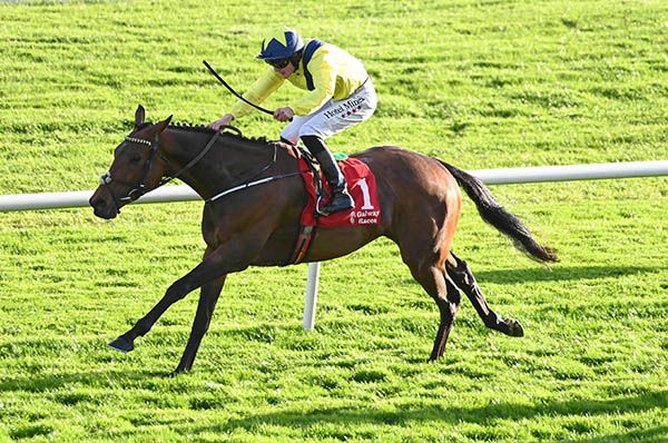 Avondale is ridden out by Daniel King