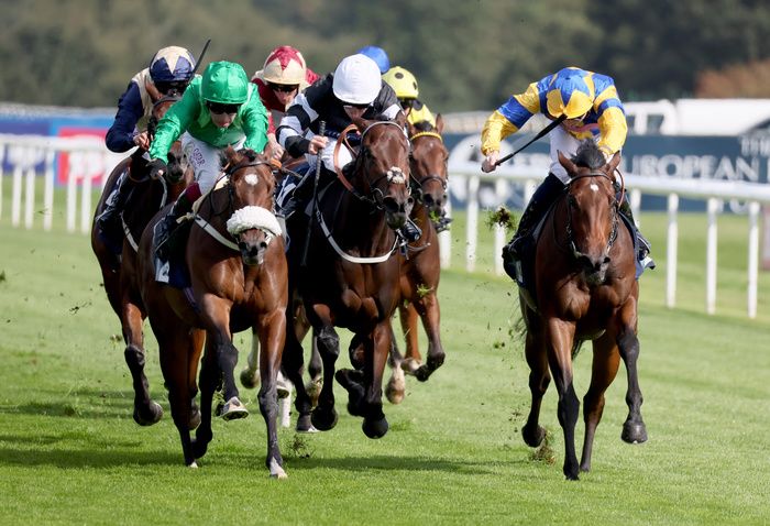 Ghost Run (left) and Oisin Murphy 