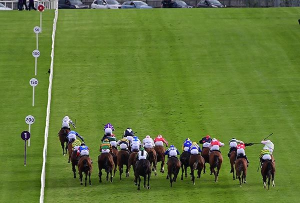 Fighter (left) leads home rivals under Wayne Hassett