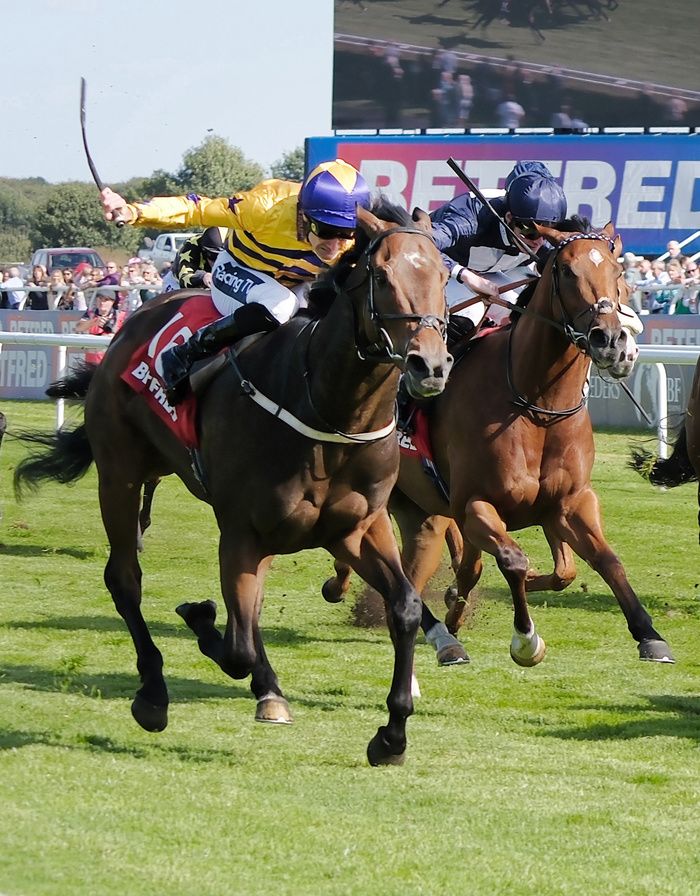 American Affair and Paul Mulrennan winning The Betfred Portland Handicap Stakes Doncaster 14 9 24Healy Racing