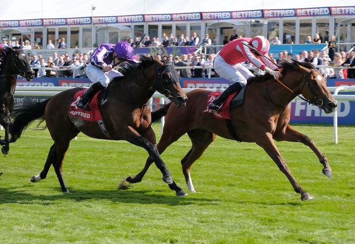 Bay City Roller and Callum Shepherd won the Betfred Champagne Stakes 