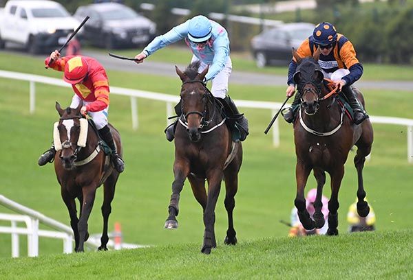 Tullyveery Lad, centre, climbs the hill best