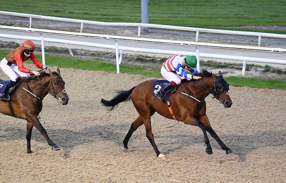 Squire Danagher and Wayne Hassett 