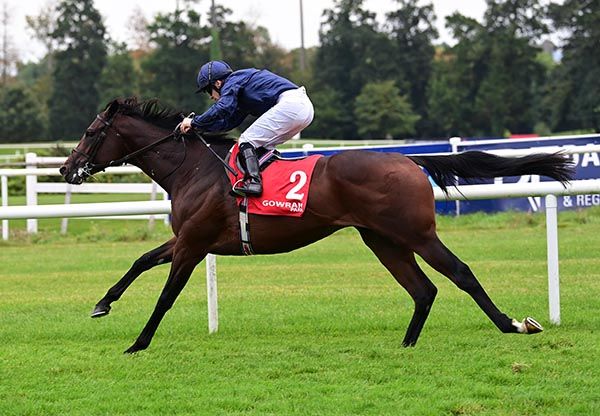 County Mayo and Wayne Lordan 