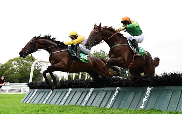 Uncle Pat and Paul Townend head Ballysax Hank and Kieren Buckley