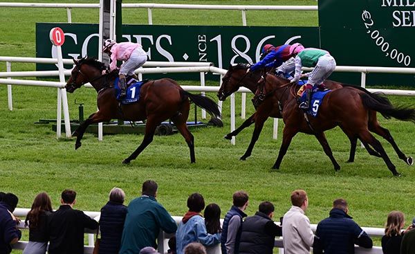  Hotazhell (pink) lands the Beresford