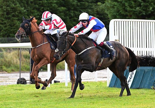 Sayitfirst and Diarmuid Moloney (nearest) lead Single Edition and Sean Flanagan away from the last 