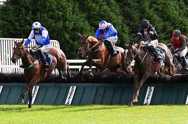 Mexican Moonshine (right) jumps the last alongside Miss Dishy (left) and Grooveykindoflove 