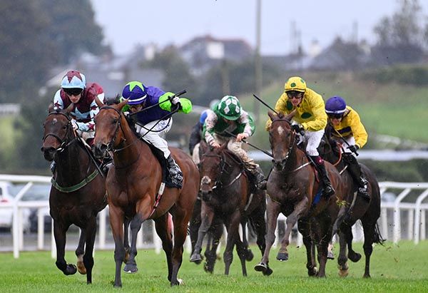 Little Lady Lucy (second from left) leads home her rivals