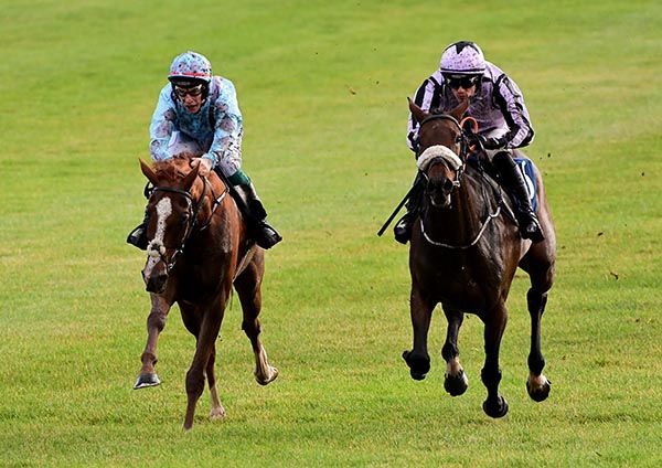 San Salvador (left) and A Law Of Her Own fight out the finish