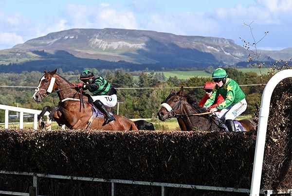 Ceanndana (left) is joined over the last by Rightfolksplease (noseband)