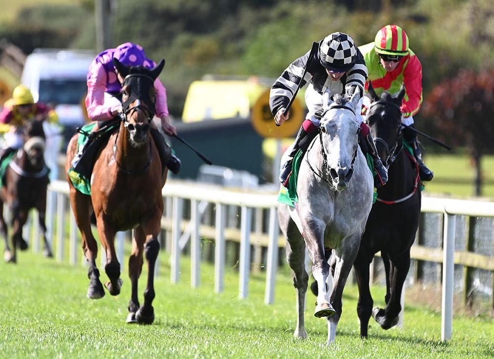 The grey Miss Tapley leads home her rivals under Wayne Hassett