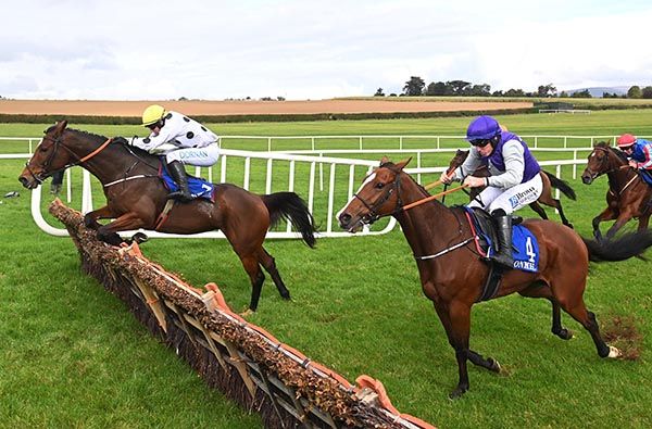 Mystical Goddess and Darragh O'Keeffe lead Marcus Furius over the last