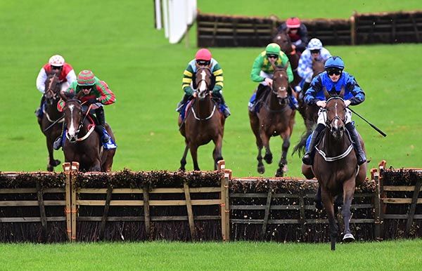 Ol Man Dingle (right) jumps the last under Ricky Doyle