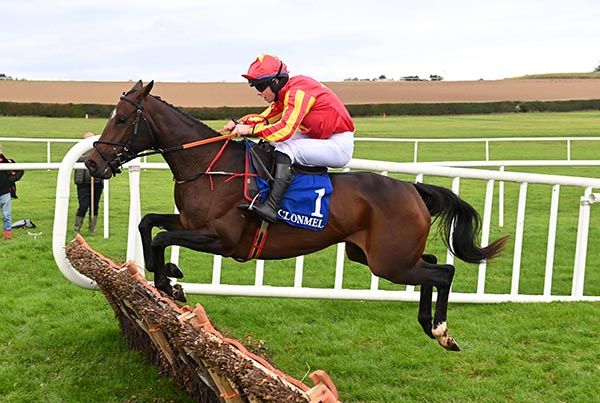 Stormalong and John Shinnick fly over the last