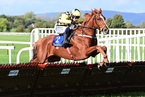 Daddy Long Legs jumps a new Easyfix plastic-panelled hurdle