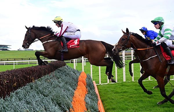 Buddy One will make his next start over fences at Cheltenham 