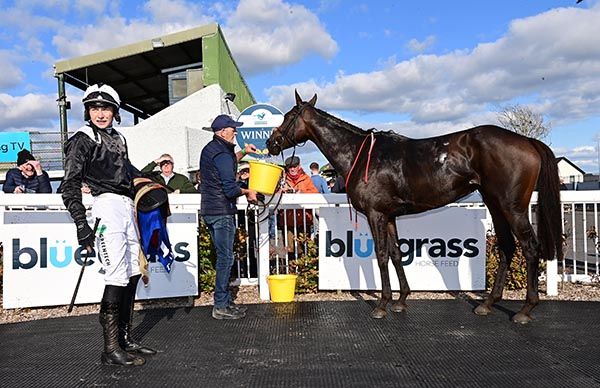 Savante gets a well deserved drink after her success in the third at Tramore