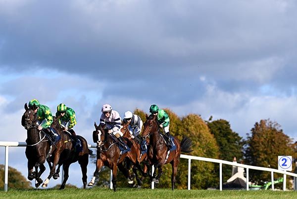 Autumn Winter (right) at Thurles