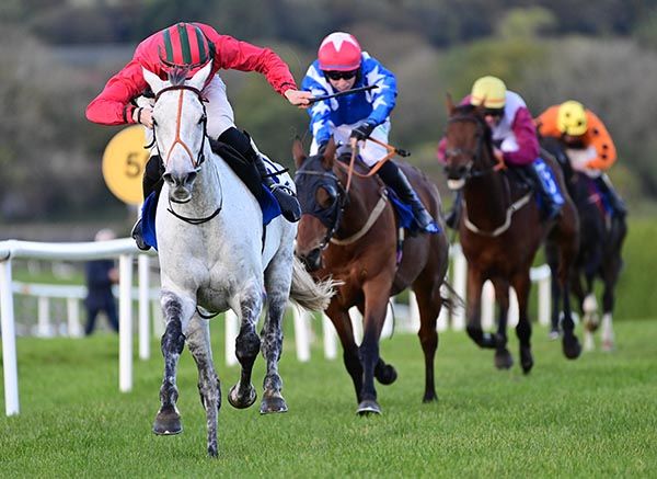 Lake Chad is ridden out by Niall Moore