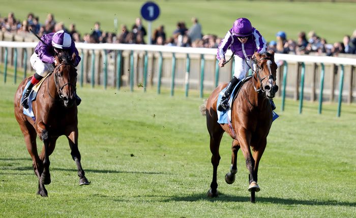 Merrily and Wayne Lordan (right) 