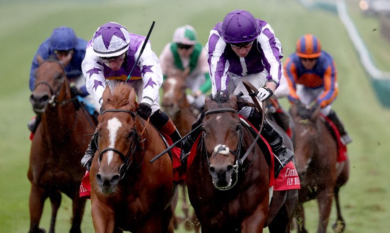 Delacroix (right) beating Stanhope Gardens at Newmarket