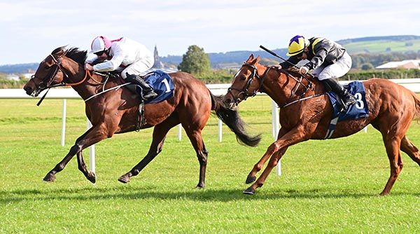 Firebrand, left, has Babich's measure 