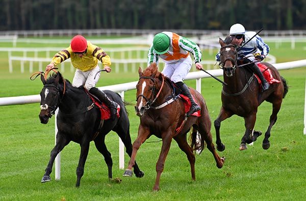 D Art D Art and Donagh Meyler (green cap) come to tackle Missus Beeton (left)