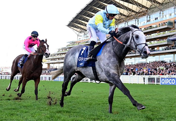 Facteur Cheval ran a big race when runner-up at Ascot 