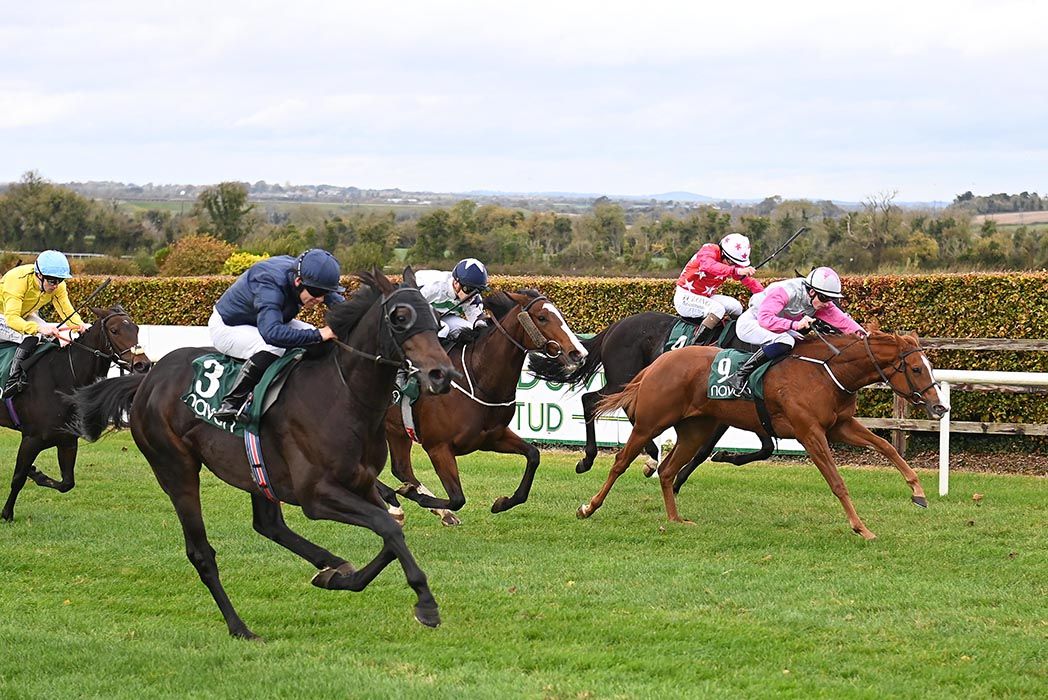 New Theory and Darragh O'Sullivan (grey and pink) prevail in tight finish