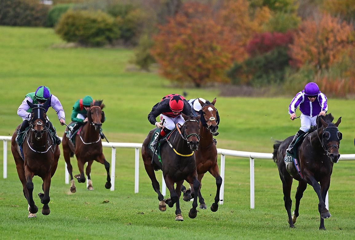 Double Agent (right) wins from If You Let Me (left) and Pinkerton (centre) 