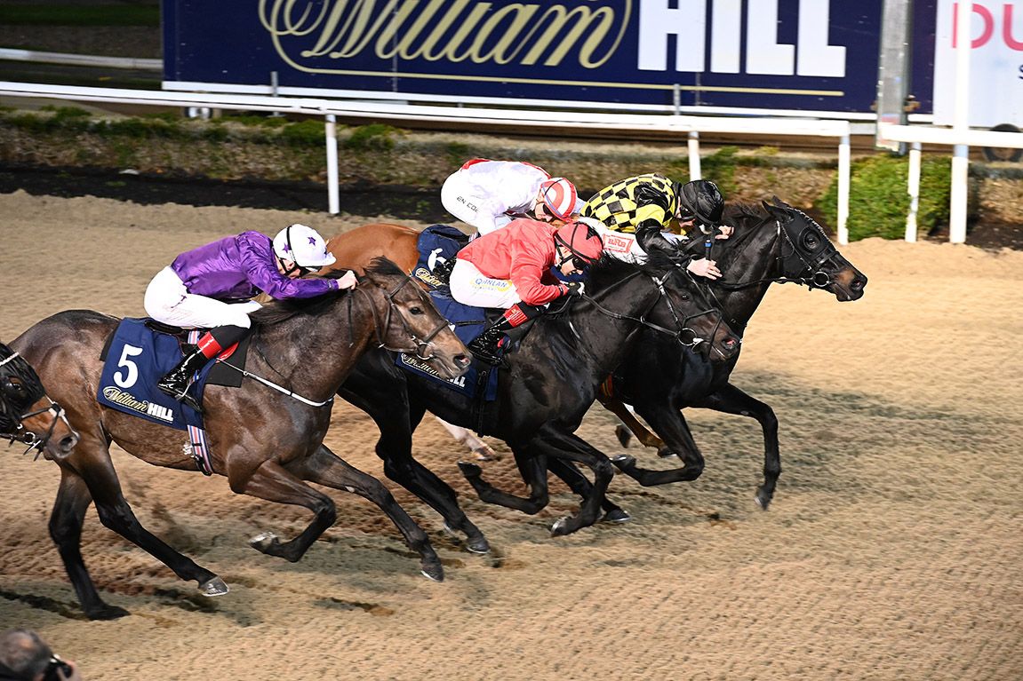 Ostraka (black & yellow) wins from Powerful Nation (red) Electric Storm (white) and Valiant Force (purple)