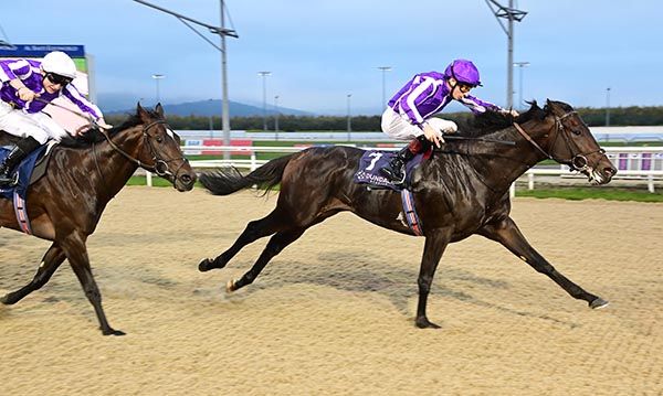 Serengeti and Declan McDonogh 